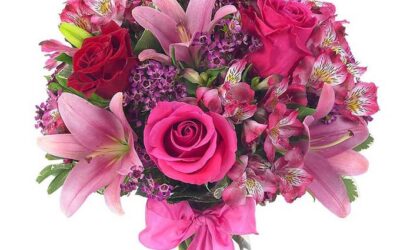 Nunc Volutpat Venenatis