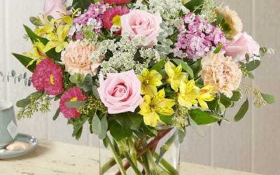 Maecenas Fringilla Augue