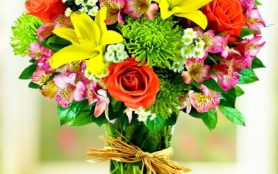 Vestibulum Nisl Felis